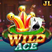 Wild Ace ph222 register slot